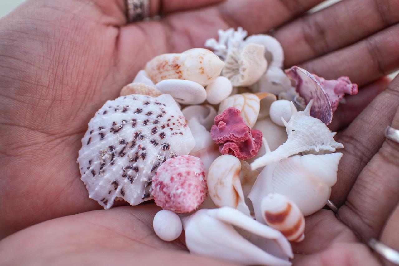 Island Beach House Hulhumale Luaran gambar
